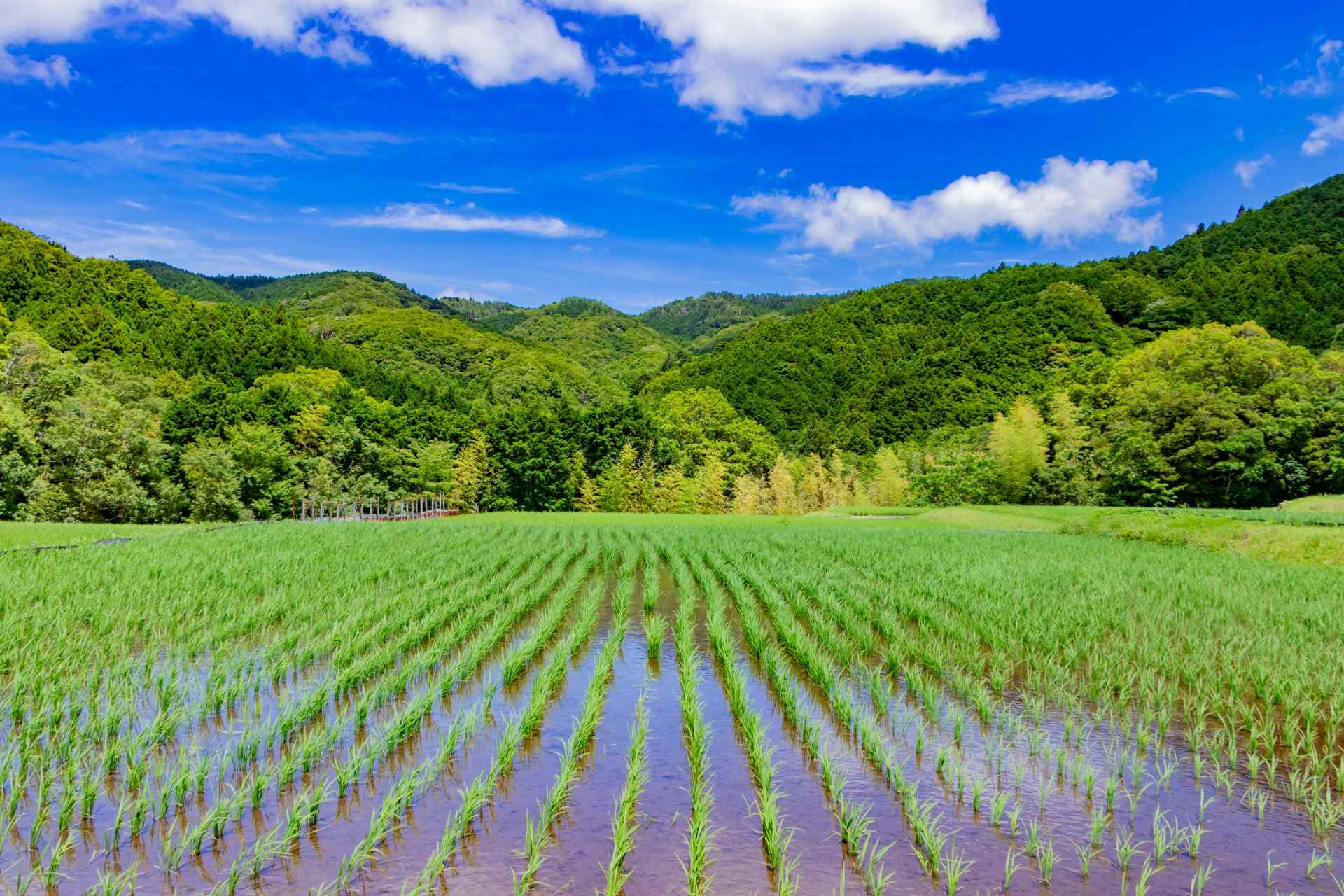 土地の売却 | 福岡県福岡市で不動産売却なら不動産売却・買取専門店株式会社URE